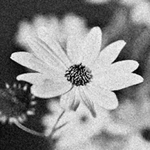 Protecting Your Loved Ones against the financial trauma of Funeral Costs